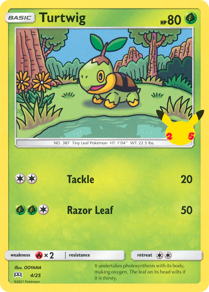 Tortipouss