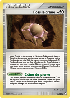 Fossile Crâne
