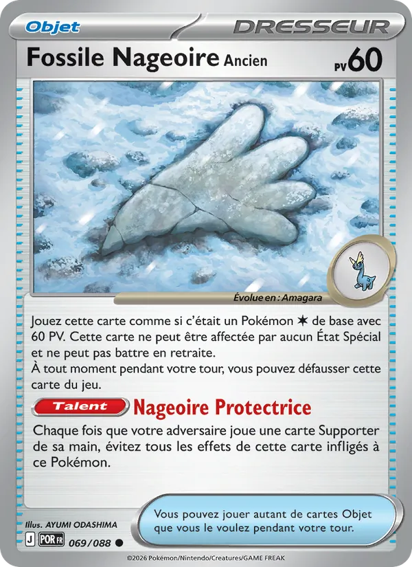 Fossile Nageoire Ancien