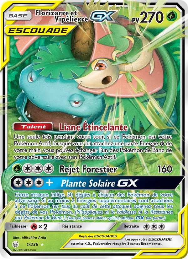 Florizarre et Vipélierre GX