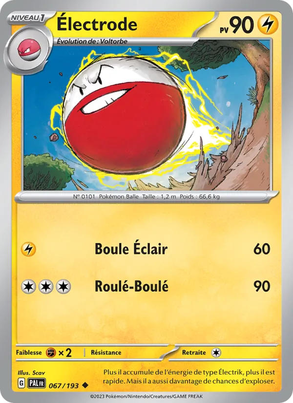 Électrode