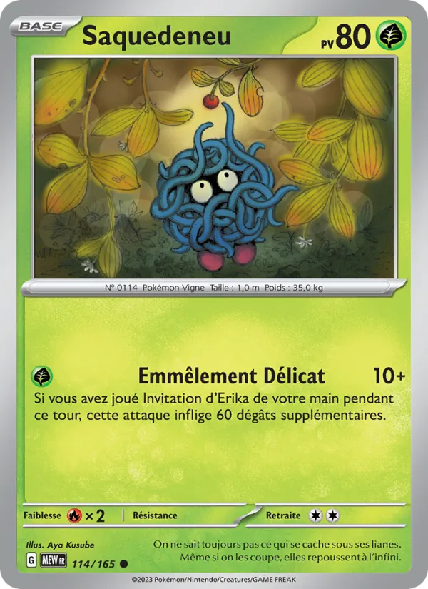 Saquedeneu