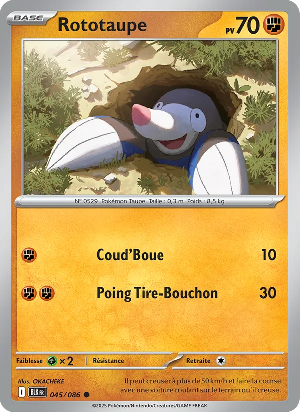 Rototaupe