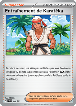 Entraînement de Karatéka