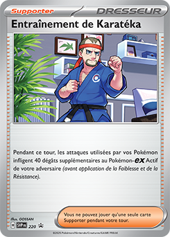 Entraînement de Karatéka