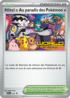 Hôtel « Au paradis des Pokémon »