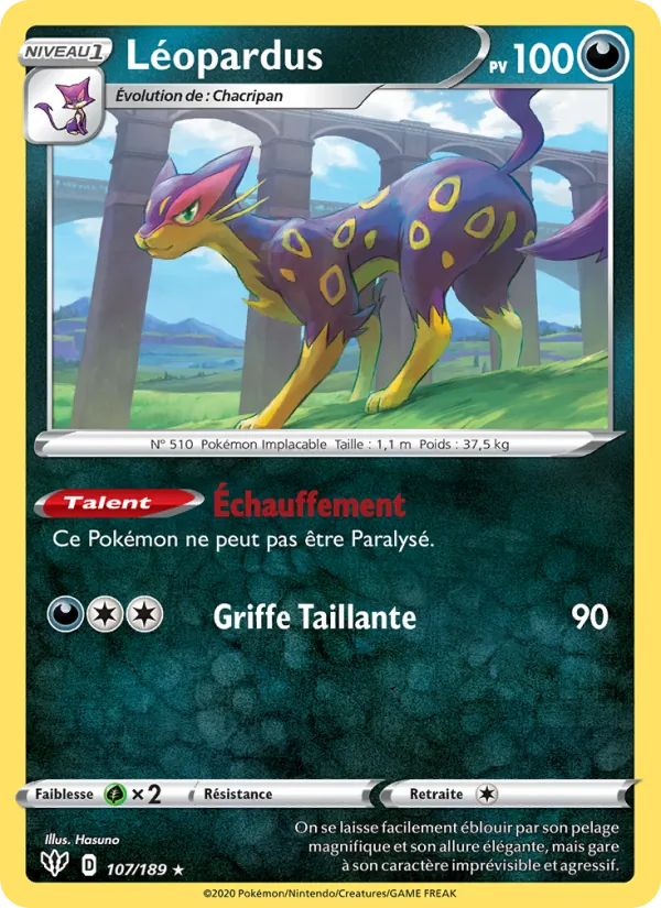 Léopardus
