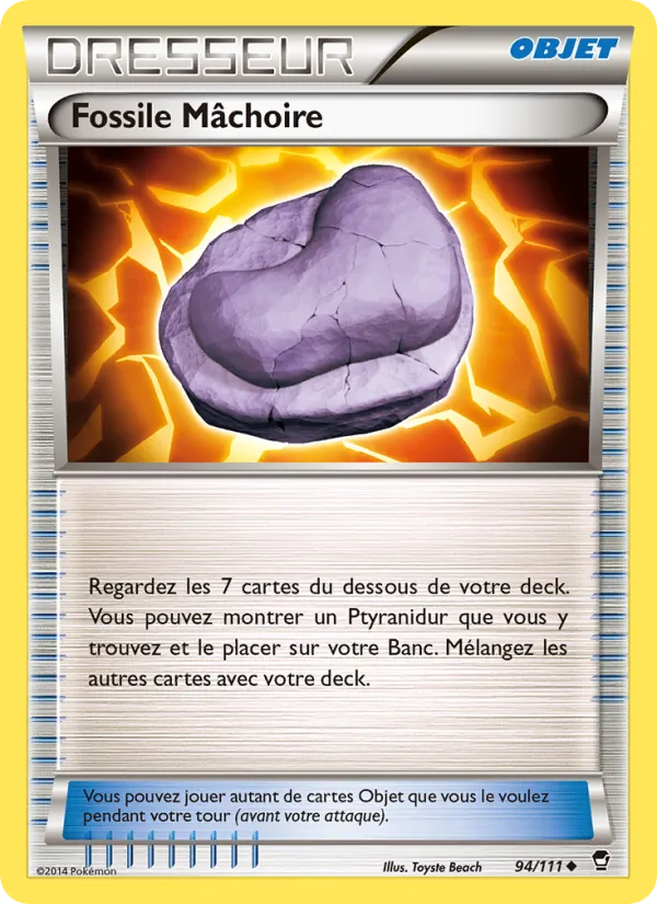Fossile Mâchoire